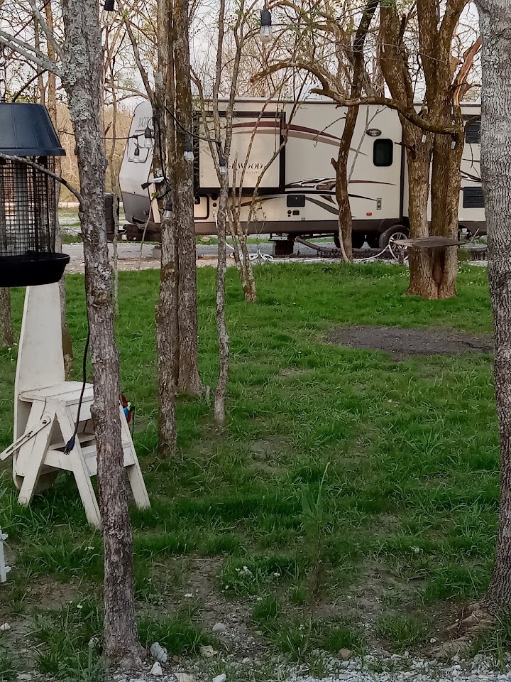 Tall Pines RV Park photo 1