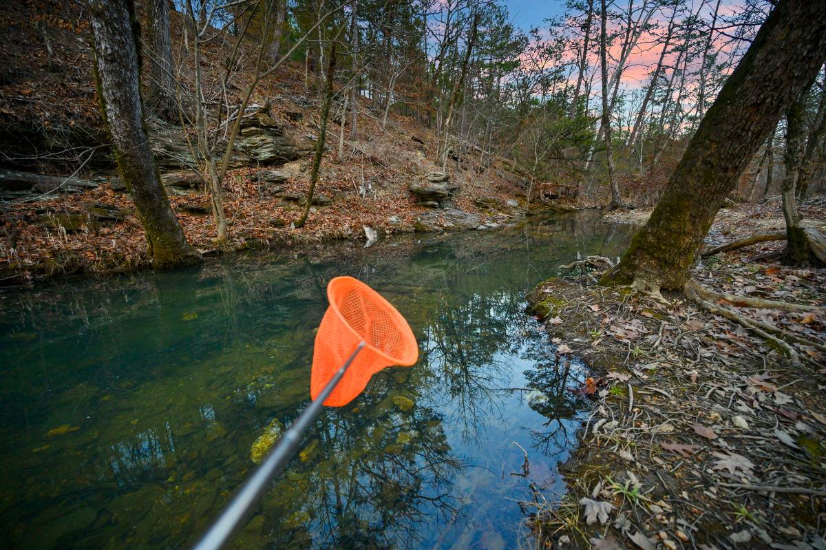 Willow Creek Broken Bow photo 16