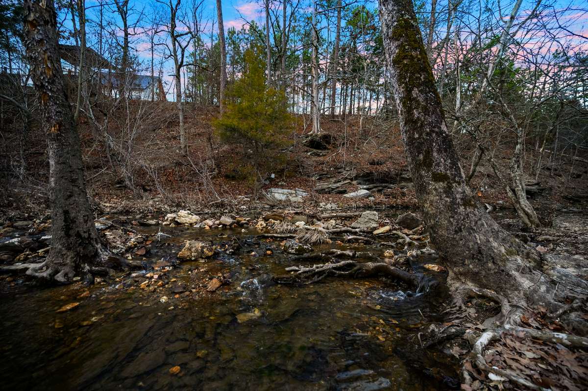 Willow Creek Broken Bow photo 7