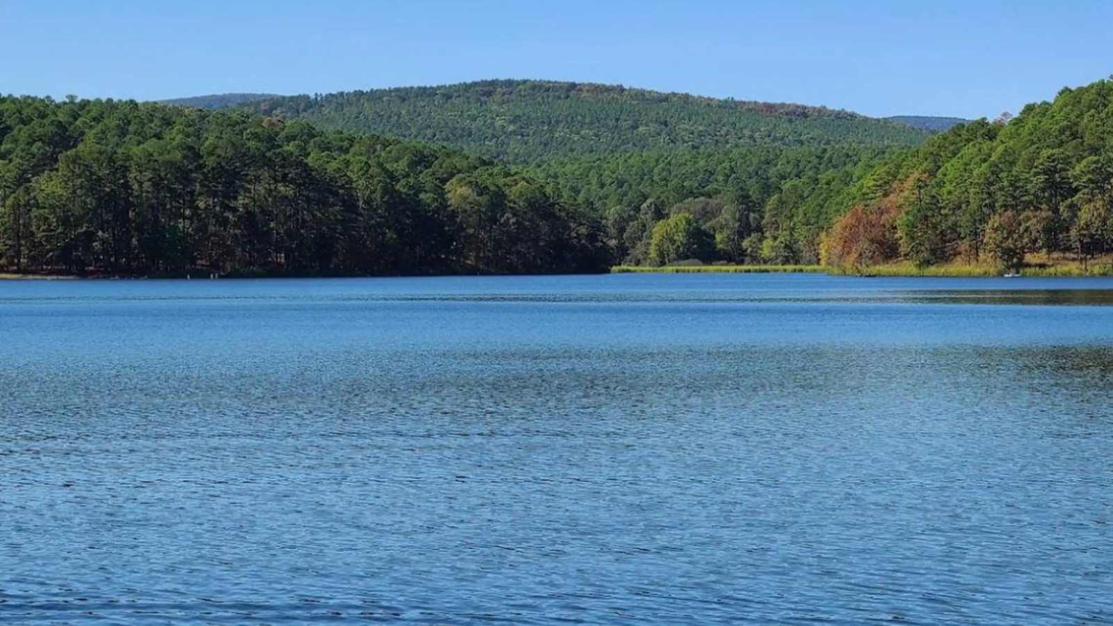 Cedar Lake Recreation Area photo 1