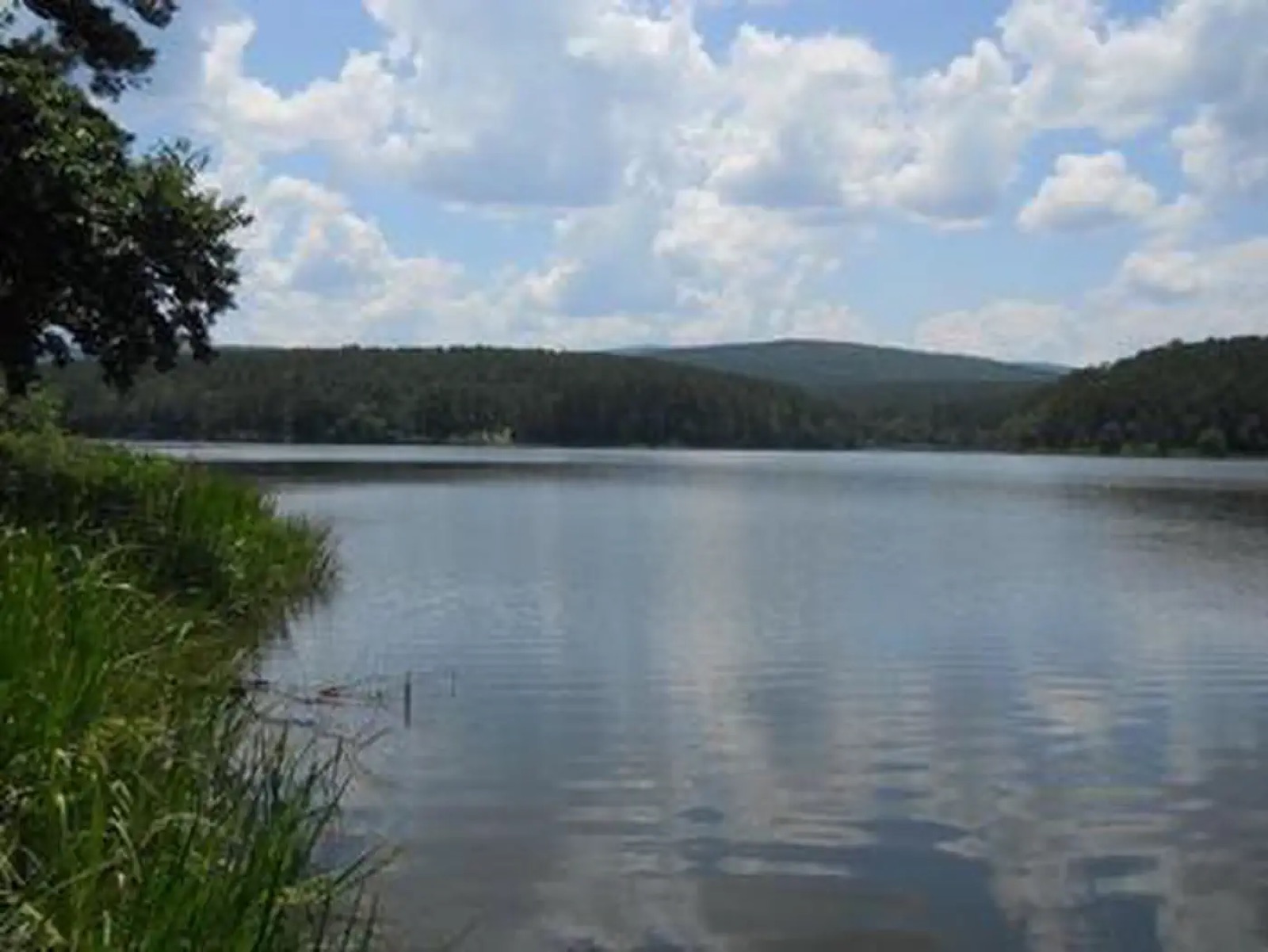 Cedar Lake Recreation Area photo 4