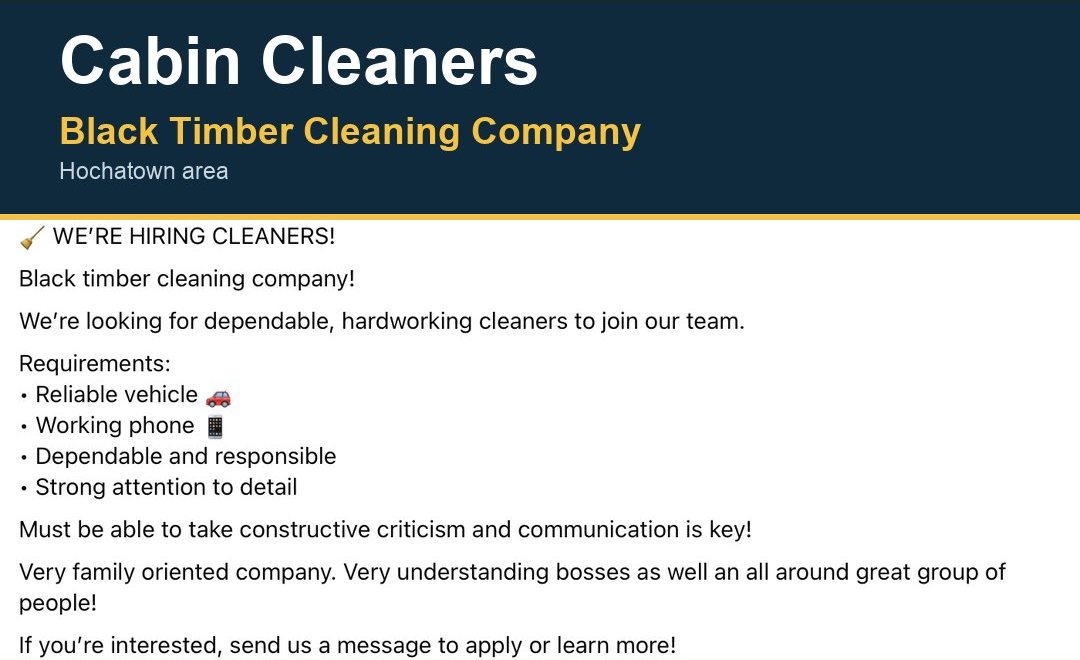 Cabin Cleaners image