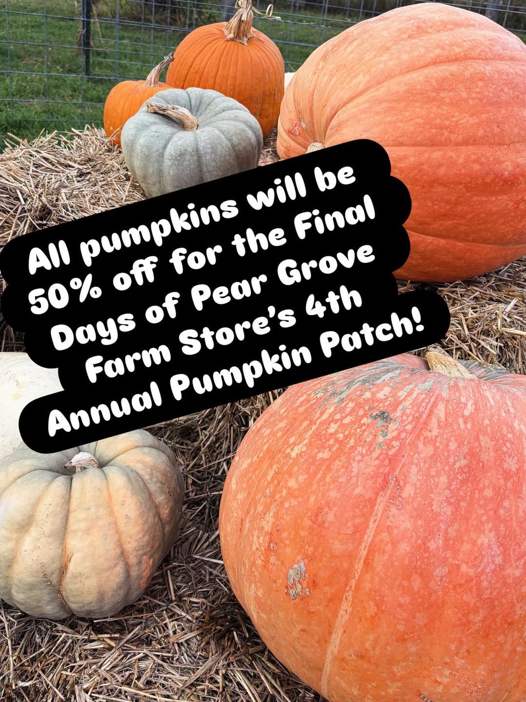 Final Pumpkin Patch Days at Pear Grove Farm Store flyer