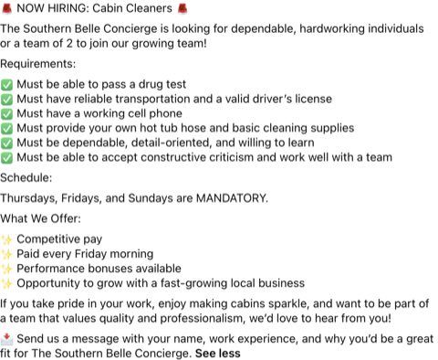 Cabin Cleaner (Individual or Team of 2) image