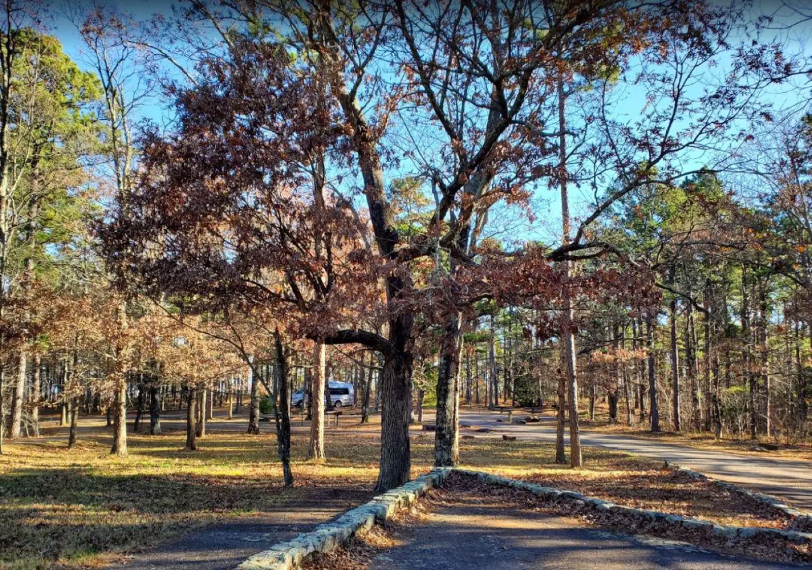 Winding Stair Campground photo 4