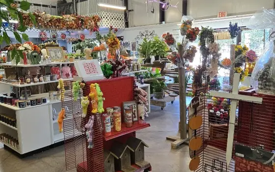 Neills Touch of Class Flowers and Gift