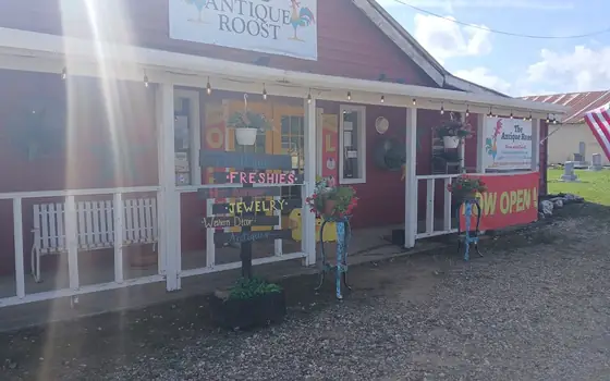 The Antique Roost